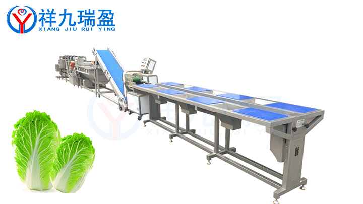 蔬菜加工設備-凈菜加工線優勢