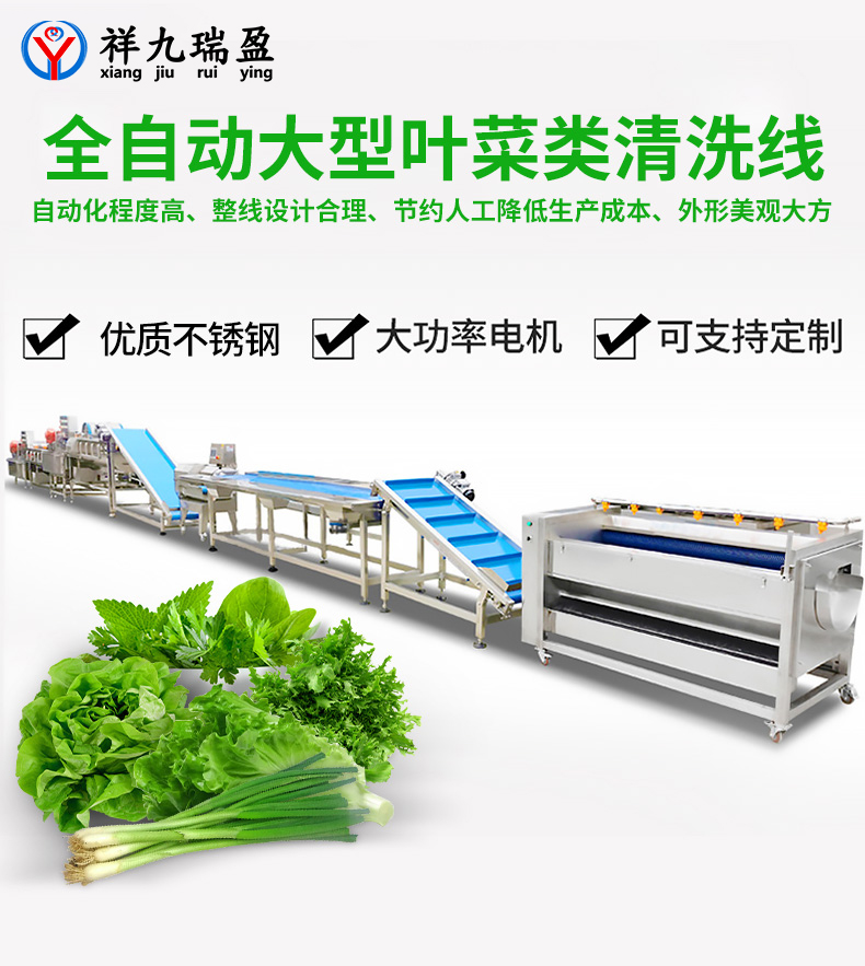 大型葉菜類清洗線生產流程與配套設備，你知道有多少？