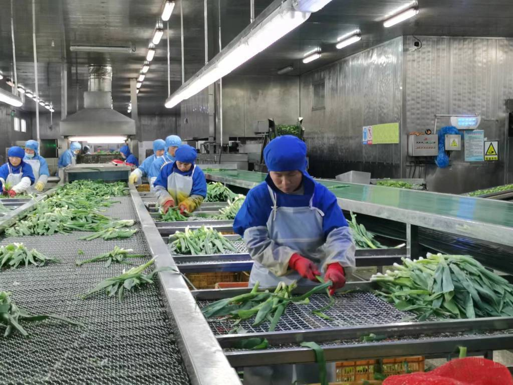 預制菜生產線定制方案與管理控制，如何組建預制菜的加工廠